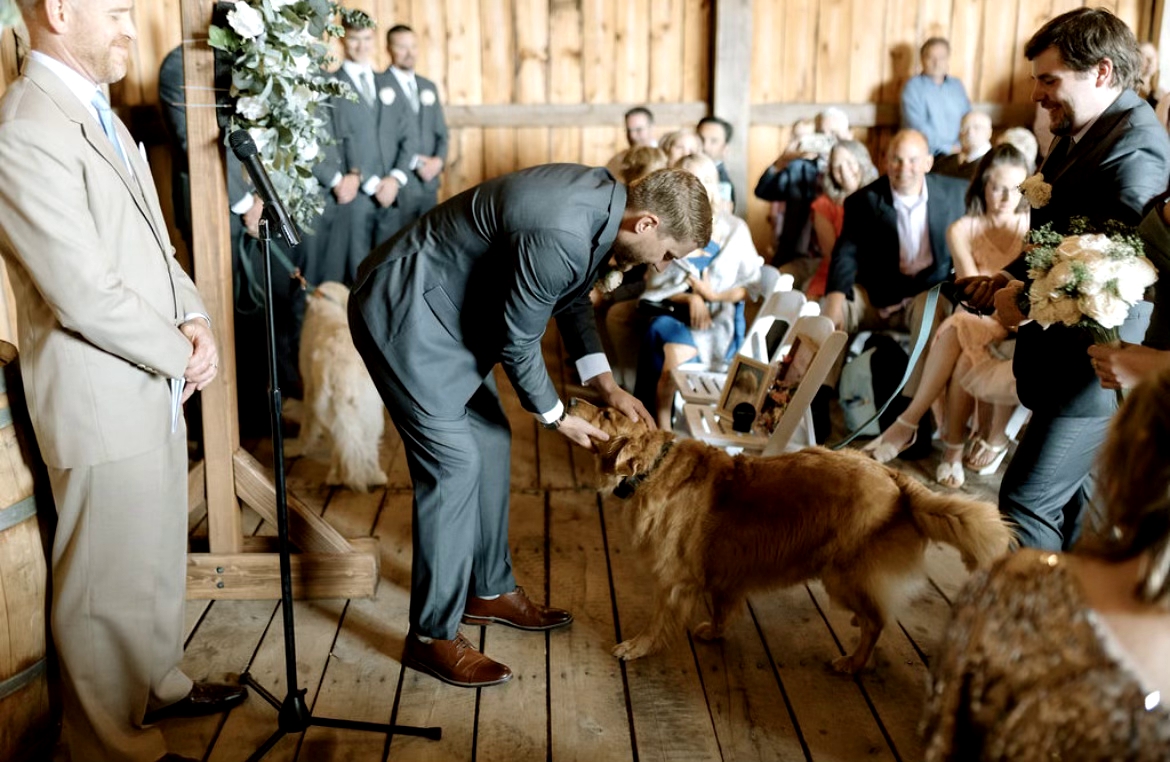 Groom greeting a dog during an indoor wedding ceremony