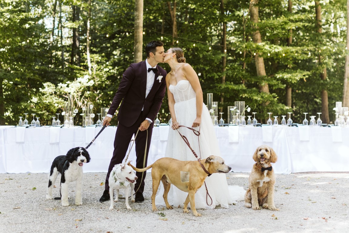 meghan and josh-775 (Medium) Newlyweds with four dogs at an outdoor wedding