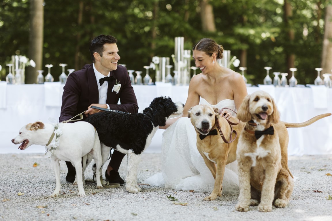 meghan and josh Wedding Photo