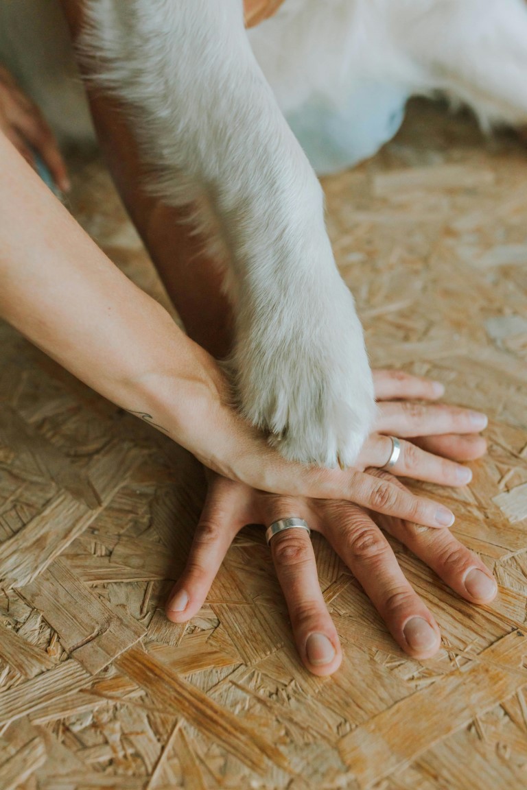 pexels-anastasia-shuraeva-5482144 (Medium) Hands in photo with the grooms hand on the bottom, the brides hand in the middle, and the dogs hand on the top, all within a heart shaped image