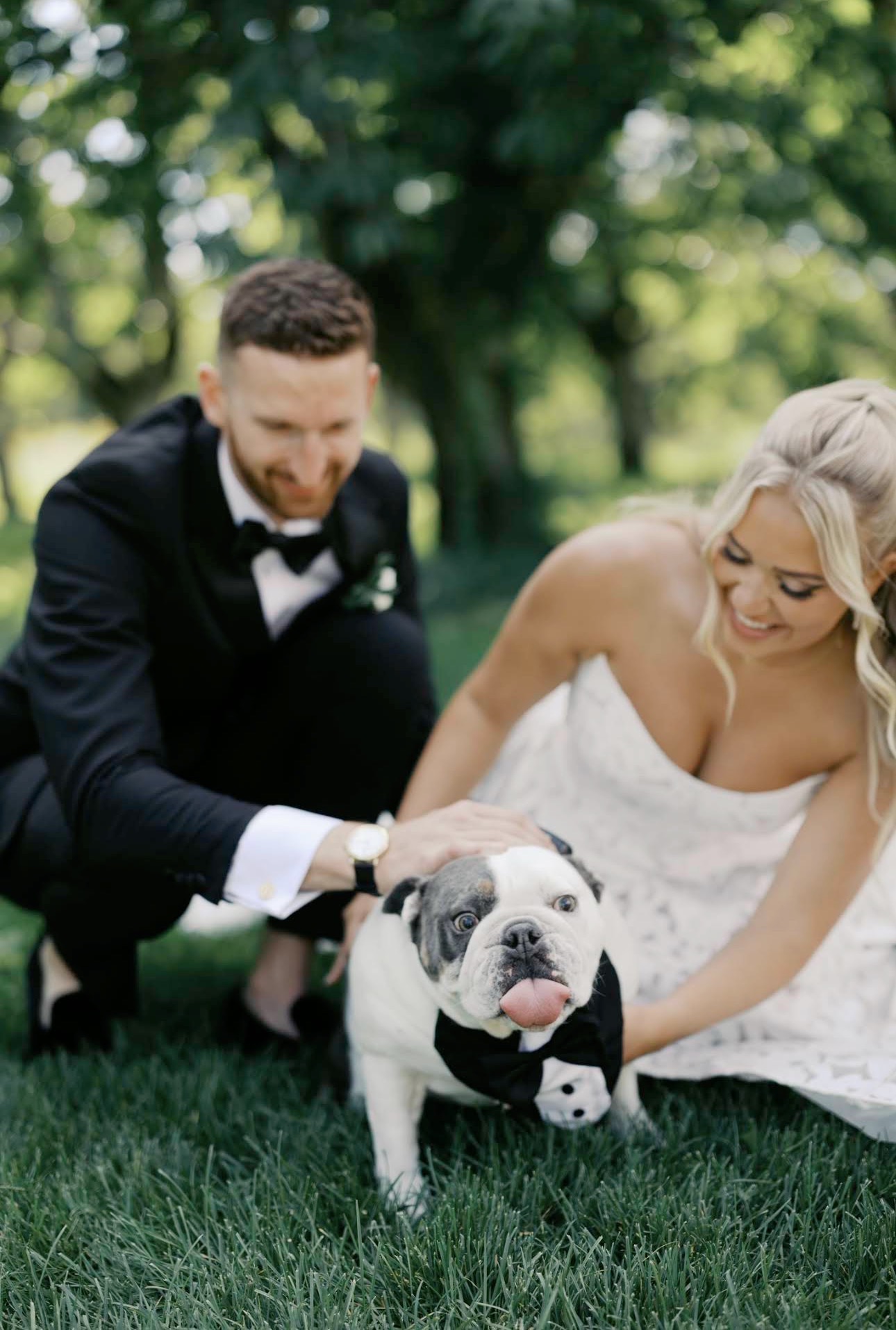 Lauren and Evan leaning down to pet their bulldog on their wedding day